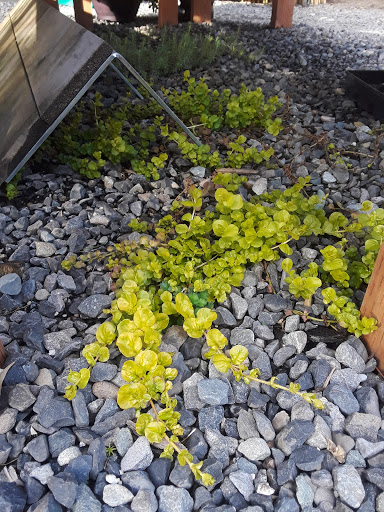 Hardware Store «Woodstock Hardware», reviews and photos, 4430 SE Woodstock Blvd, Portland, OR 97206, USA