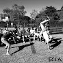 École Capoeira Angola Blanquefort Blanquefort