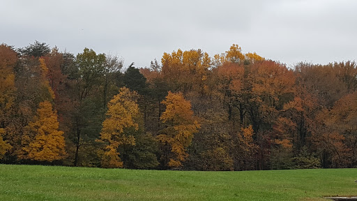 National Park «Greenbelt Park», reviews and photos, 6565 Greenbelt Rd, Greenbelt, MD 20770, USA