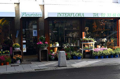 Royal Fleurs à Villedieu-les-Poêles-Rouffigny