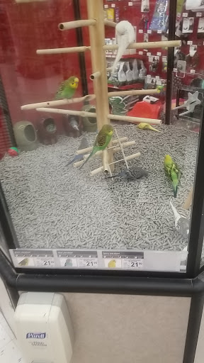 Pet Supply Store «Petco Animal Supplies», reviews and photos, 1605 Beltline Rd SW, Decatur, AL 35601, USA