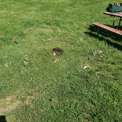 Park «Grandview Park», reviews and photos, 3230 Easton Blvd, Des Moines, IA 50317, USA