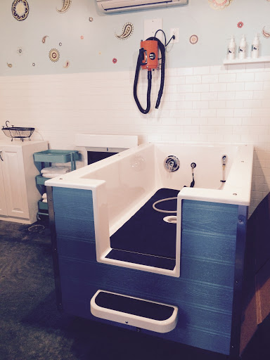 Pet Supply Store «Paisley Paw», reviews and photos, 155 E Broad St, Spartanburg, SC 29306, USA