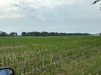 Colten Yager- Farmland Appraiser and Real Estate Agent - Photo 6 - Car repair in , Kalamazoo