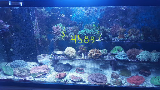 Pet Store «Fish Aquariums & Stuff», reviews and photos, 6112 W Fairview Ave, Boise, ID 83704, USA