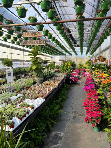 Fort Thomas Florists & Ghses., 63 S Grand Ave, Fort Thomas, KY 41075, USA, 