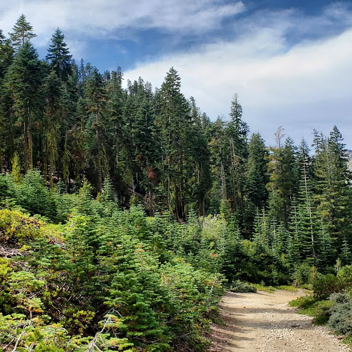 Gym «CrossFit Pick Axe», reviews and photos, 1415 Whispering Pines Ln Suite 130, Grass Valley, CA 95945, USA