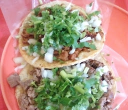 Teca Tacos photo