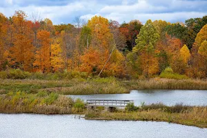 Blue Heron Preserve image