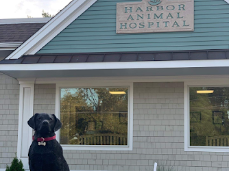 Harbor Animal Hospital