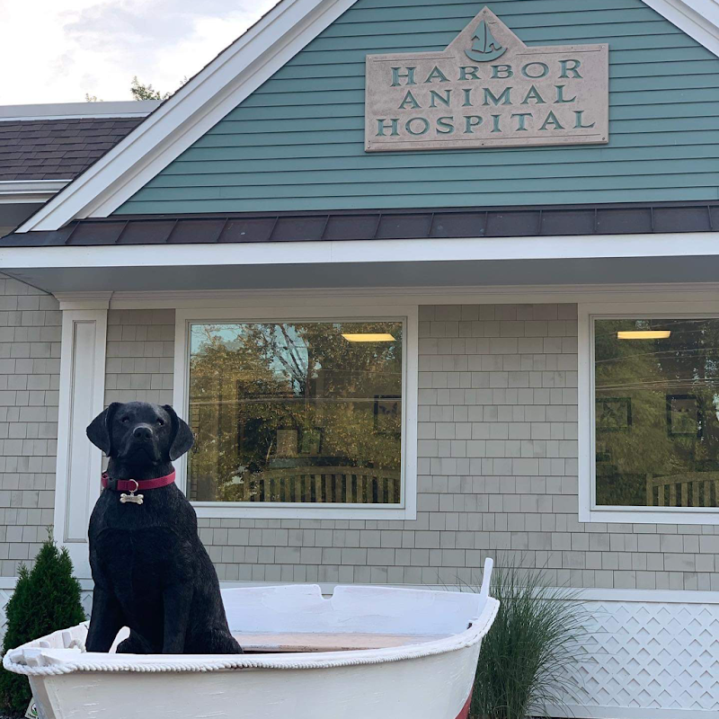 Harbor Animal Hospital