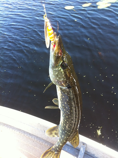 Moose Ear Lake