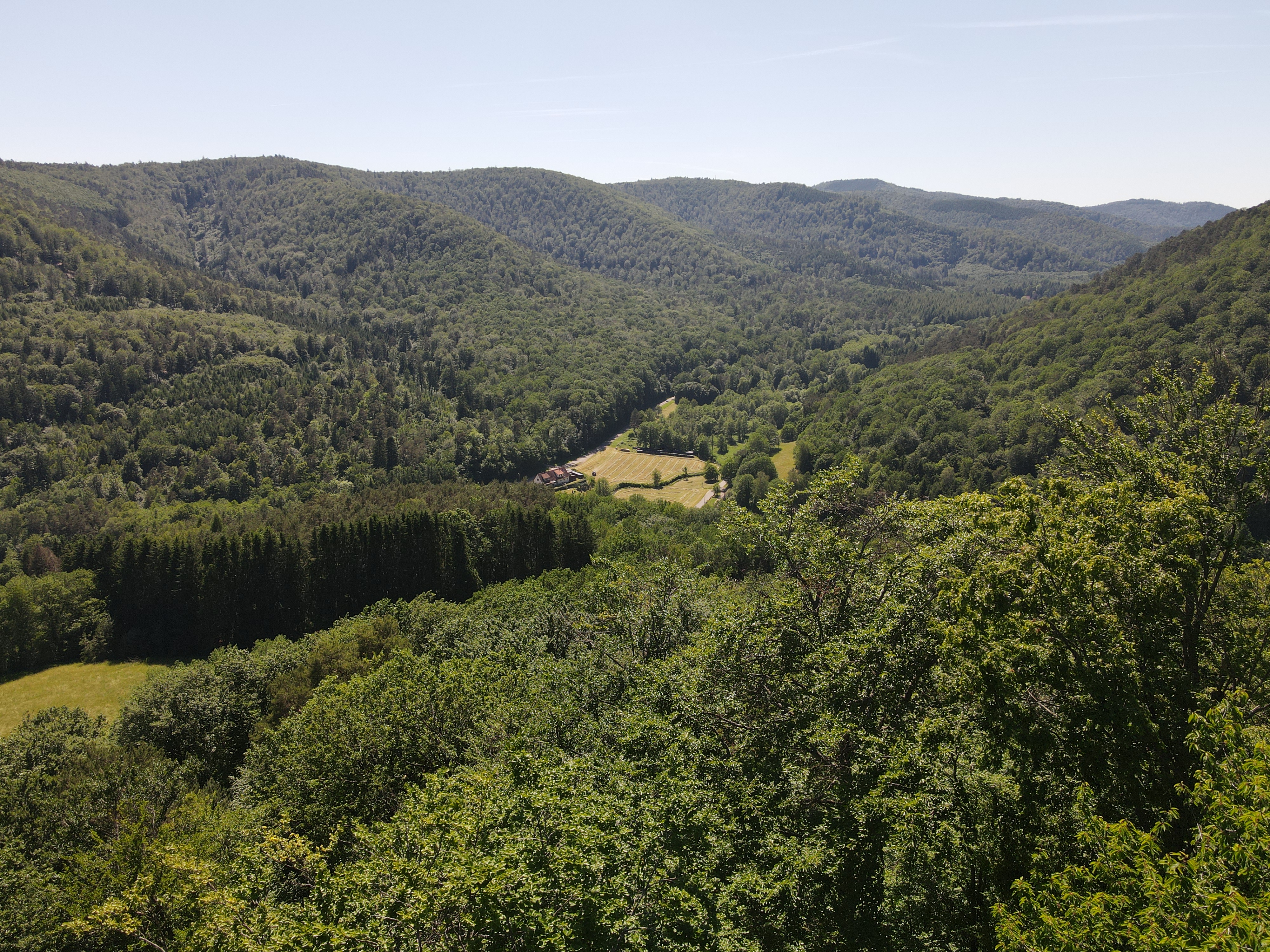 Photo n° 12 de l'avis de Yannick.a fait le 14/06/2021 à 17:13