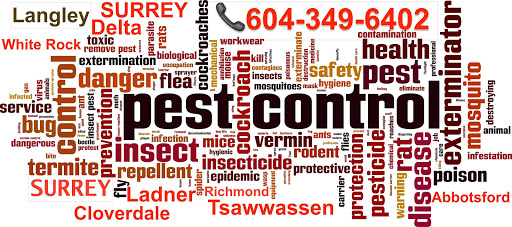 Total Pest Control Surrey - Pest Exterminators