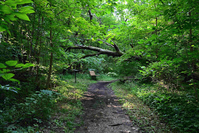 Hassen Creek Nature Trail
