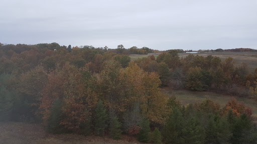 Resort «Little River Casino Resort», reviews and photos, 2700 Orchard Hwy, Manistee, MI 49660, USA