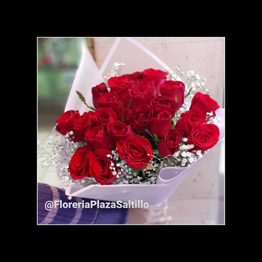 Floreria Plaza – Saltillo