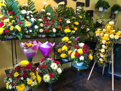 Florerías en Esperanza, Sonora: Entrega a Domicilio y Servicio 24 Horas