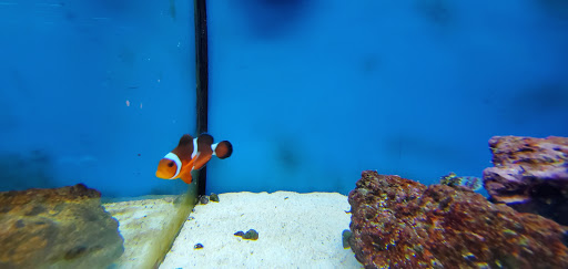 Pet Supply Store «Petco Animal Supplies», reviews and photos, 513 S Mason Rd, Katy, TX 77450, USA