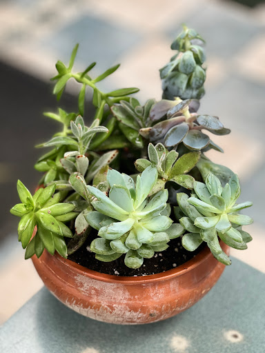 Florist «Marine Florists», reviews and photos, 1995 Flatbush Ave, Brooklyn, NY 11234, USA