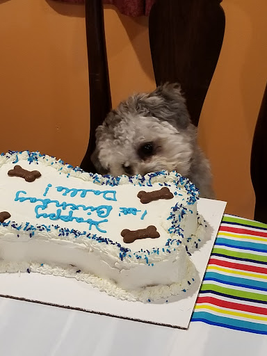 Pet Supply Store «Fuzzybutz Pet Bakery Inc», reviews and photos, 306 State St, St Joseph, MI 49085, USA