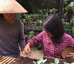 The Kul Kul Farm photo
