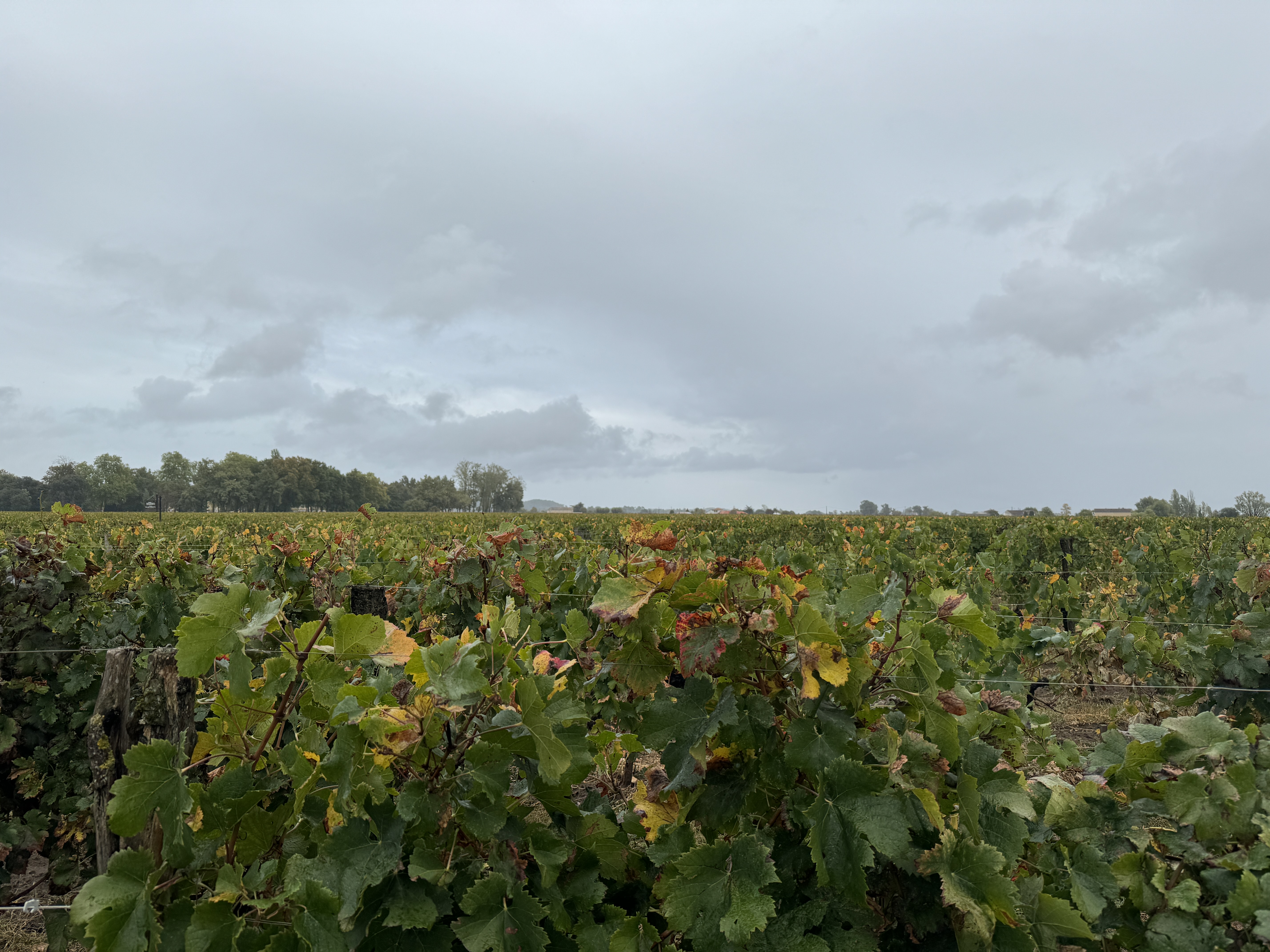 Photo n° 5 de l'avis de Anthony.l fait le 19/10/2023 à 16:10