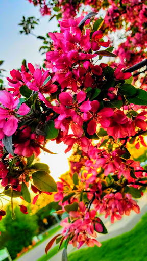 Park «Bass Lake Park», reviews and photos, 3450 Glenhurst Ave, Minneapolis, MN 55416, USA