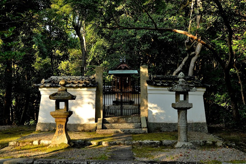 イトクの森古墳