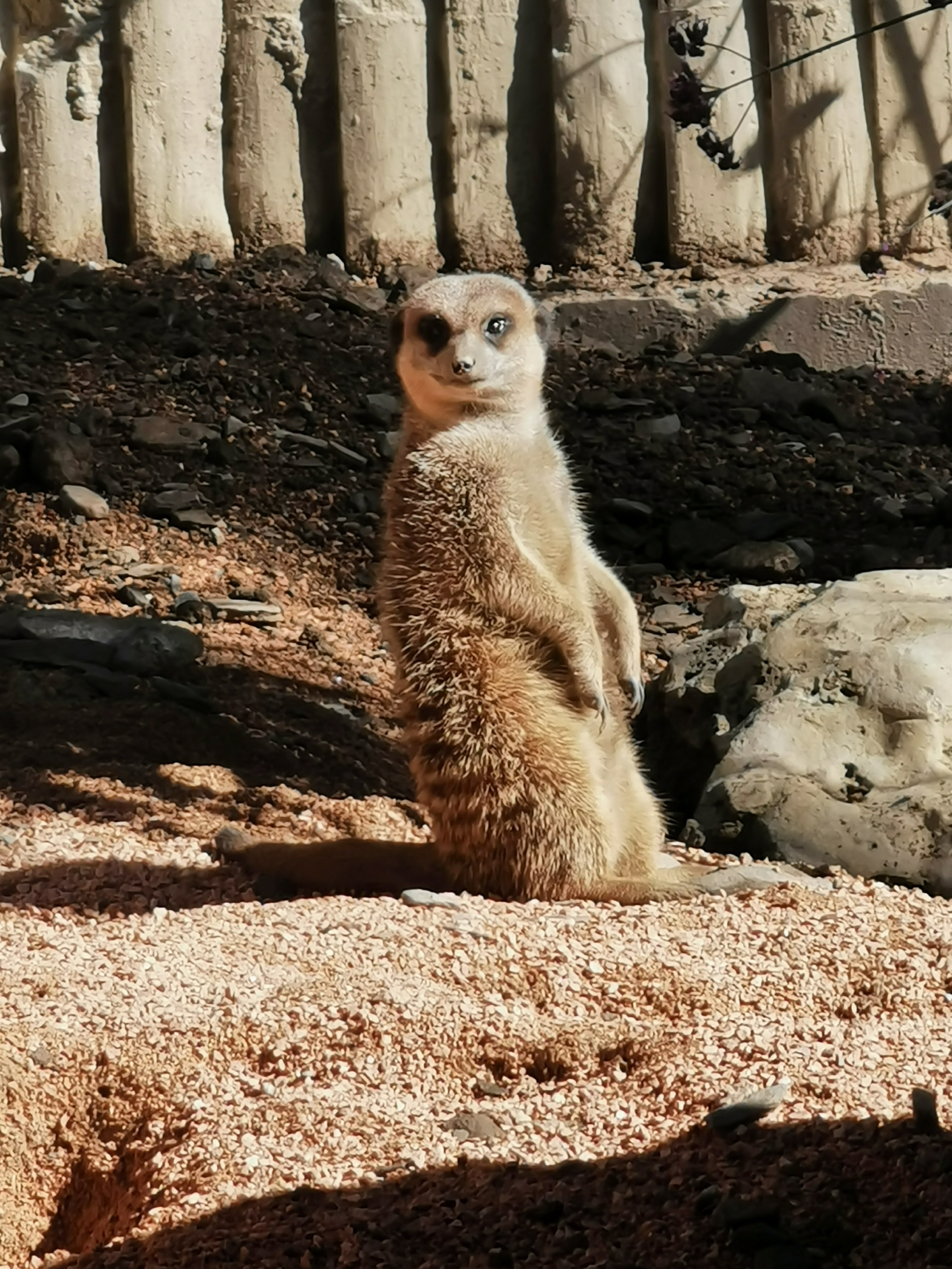 Photo n° 16 de l'avis de Sylvain.i fait le 03/09/2020 à 11:35