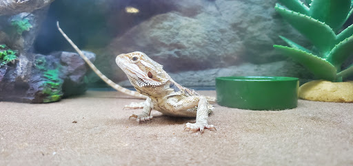 Pet Supply Store «Petco Animal Supplies», reviews and photos, 450 N Rte 17, Paramus, NJ 07652, USA