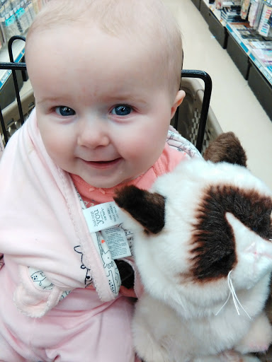 Craft Store «Michaels», reviews and photos, 106 Shops Way, Biddeford, ME 04005, USA