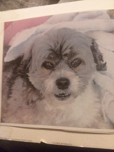 Explore half chest tattoos for men ideas, creative tattoo ideas in Wadena, available at Bryniarski tattoo