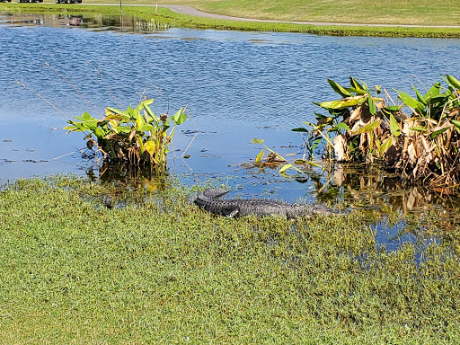 Golf Course «Sandhill Crane Golf Club, a Palm Beach Gardens Signature Facility», reviews and photos, 11401 Northlake Blvd, Palm Beach Gardens, FL 33412, USA