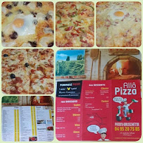 Photos du propriétaire du Pizzeria Allo Pizza à Ajaccio - n°18