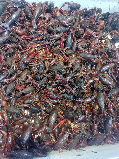 Asian Grocery Store «Shun Fat Supermarket», reviews and photos, 2368 San Pablo Ave, San Pablo, CA 94806, USA