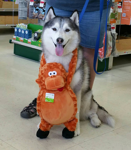 Pet Supply Store «Pet Supplies Plus», reviews and photos, 4920 Wilson Ave SW Suite 100, Grandville, MI 49418, USA