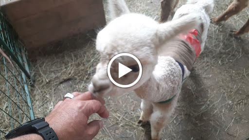 Arena «Madison Square Garden», reviews and photos, 4 Pennsylvania Plaza, New York, NY 10001, USA