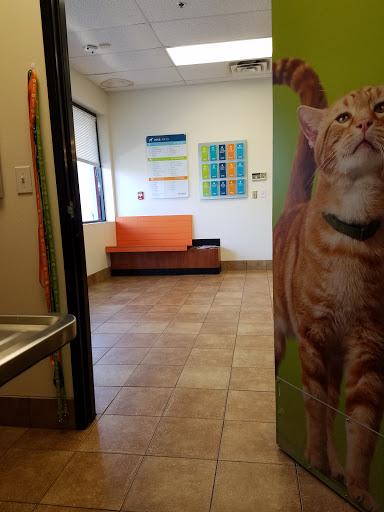 Pet Supply Store «PetSmart», reviews and photos, 1800 Evans Rd, Melbourne, FL 32904, USA