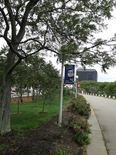 Library «John F. Kennedy Presidential Library and Museum», reviews and photos, Columbia Point, Boston, MA 02125, USA