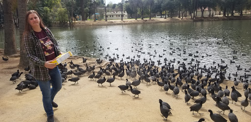 Golf Course «Fairmount Golf Course», reviews and photos, 2681 Dexter Dr, Riverside, CA 92501, USA