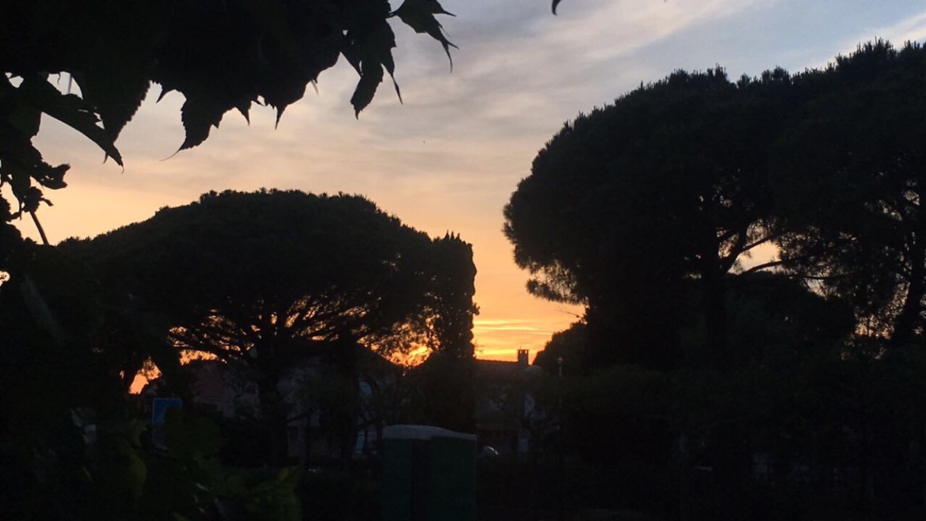 Photo n° 1 de l'avis de Alyssia.e fait le 21/07/2017 à 08:14