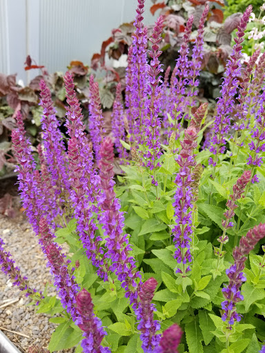 Science Museum «Connecticut Science Center», reviews and photos, 250 Columbus Blvd, Hartford, CT 06103, USA