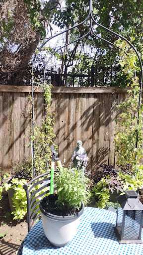 Hardware Store «Harbor Freight Tools», reviews and photos, 6508 Skillman St, Dallas, TX 75231, USA