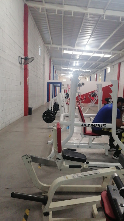 Venado,s Gym - Oriente 1, 33013 Delicias, Chihuahua, Mexico