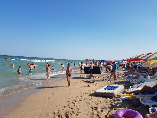 Ingrid beach
