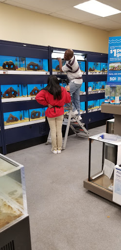 Pet Supply Store «Petco Animal Supplies», reviews and photos, 2350 Central Park Ave, Yonkers, NY 10710, USA