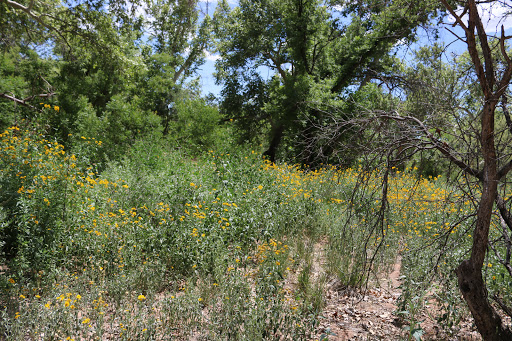 National Park «Montezuma Castle National Monument», reviews and photos, Montezuma Castle Rd, Camp Verde, AZ 86335, USA