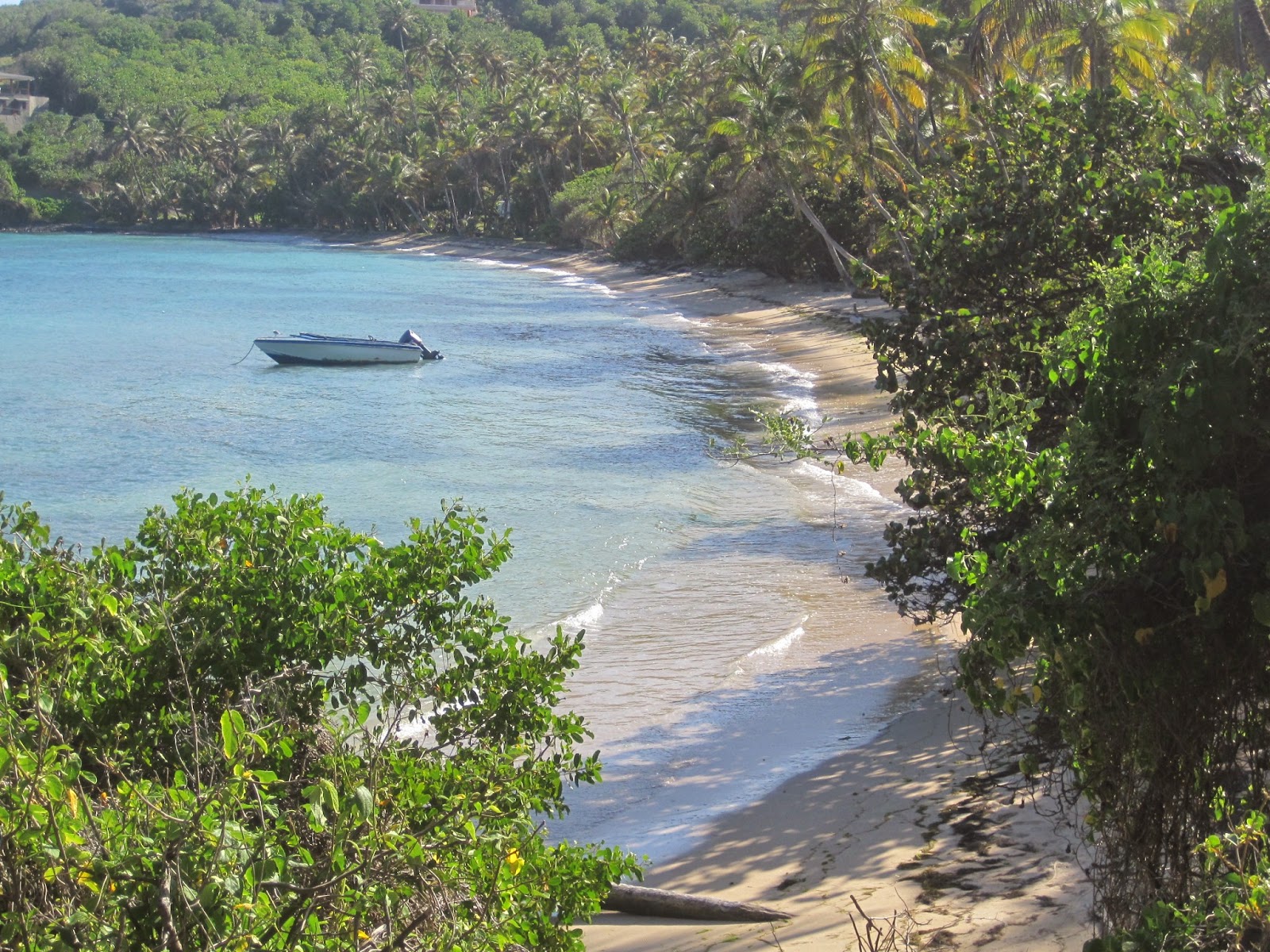 Photo de Sugar Reef beach avec moyenne baie