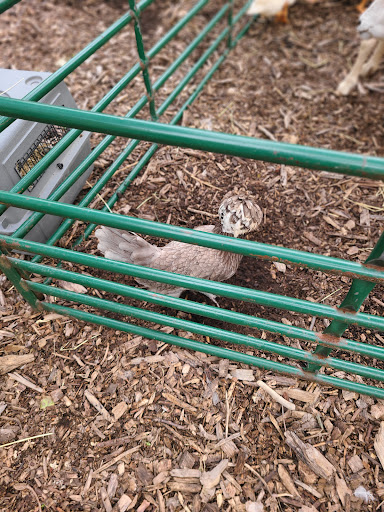 Nature Preserve «Hawthorne Hill Nature Center», reviews and photos, 28 Brookside Dr, Elgin, IL 60123, USA